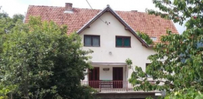 Hotels in Jošanička Banja